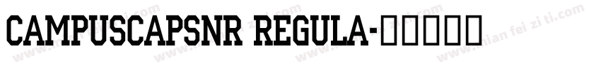 CampusCapsNr Regula字体转换